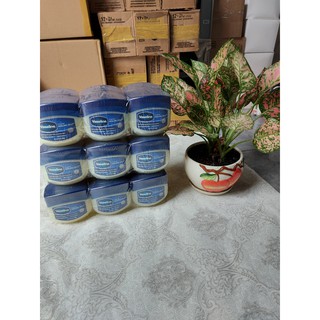 Vaselin Mỹ hũ nhỏ tiện lợi 49g