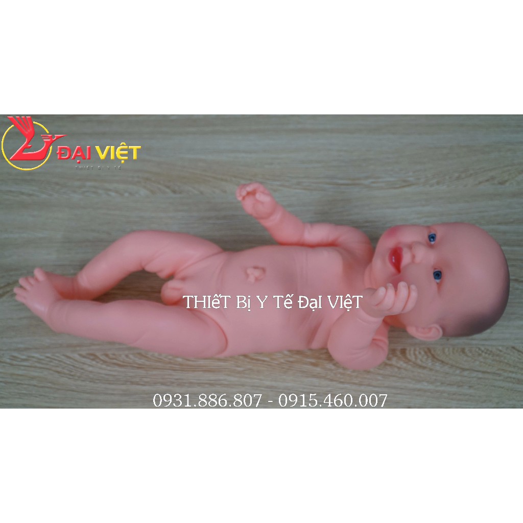 Mô hình em bé sơ sinh nam nữ