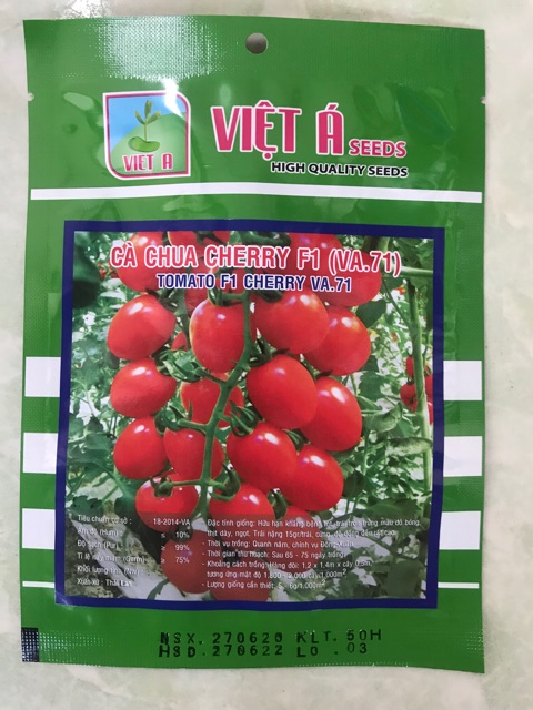 Hạt giống cà chua cherry- gói 50 hạt