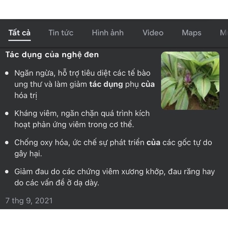 Cây nghệ đen giống
