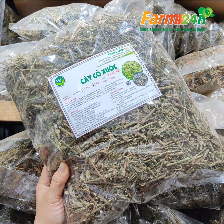 Cây cỏ xước khô, đánh bay sỏi thận, tiểu đường, mỡ máu cao, ổn định kinh nguyệt, tốt cho người bị thoái hóa khớp xương