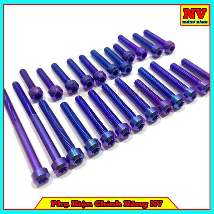 Bộ Ốc Lốc Máy Raider Xăng Cơ Gr5 Full Bộ 24 Con