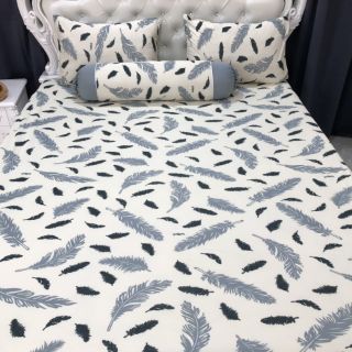 Bộ drap thun thái lan phối màu ( 7 màu)