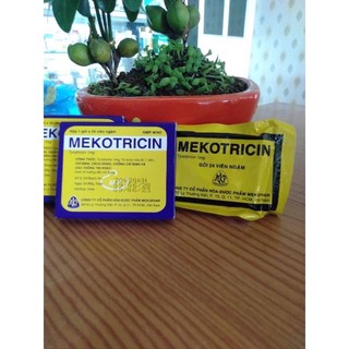 Viên ngậm Mekotricin hộp 24 viên