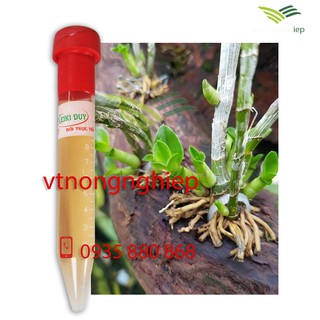 keiki duy pro kích mầm, kích chồi - loại bôi trực tiếp