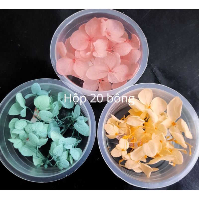 Hộp 20 hoa Cẩm Tú Cầu khô đẹp mê dùng trong Resin, thiệp, tranh, móng tay, trang điểm nghệ thuật....