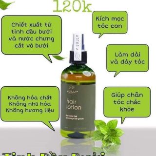 Tinh dầu bưởi Vi Jully 99k