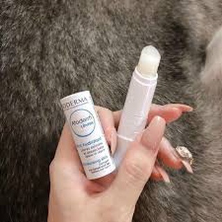 Son dưỡng khô môi , nứt nẻ Atoderm Levres Pháp 4g