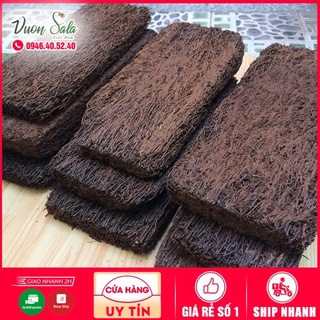 Dớn bảng trồng lan (kích thước 15*40)
