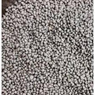PHÂN TAN CHẬM CHÌ NHẬT BẢN 13-11-11 + ME GÓI 200GR