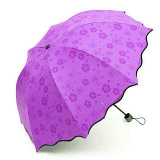 Ô nở hoa khi gặp nước