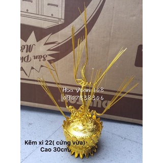 Gốc cây kim tiền( thỏi vàng +gốc)