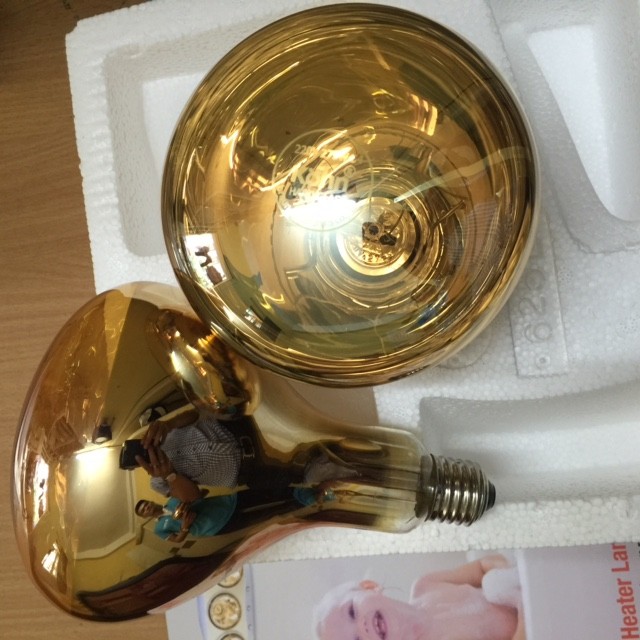 Bóng Đèn Sưởi Kohn Braun Chính Hãng