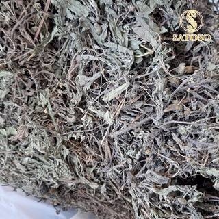 Cây nhọ nồi hay con gọi là cỏ mực SATOSO 1kg tác dụng tốt tóc và tốt cho thận SA35