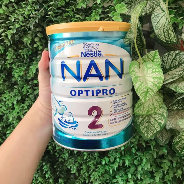 Sữa nan nga