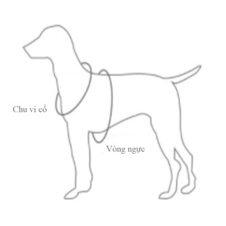 Đồ hoá trang hình dơi cho thú cưng