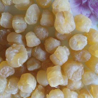 Cồi sò Điệp khô - đặc sản Bình Thuận