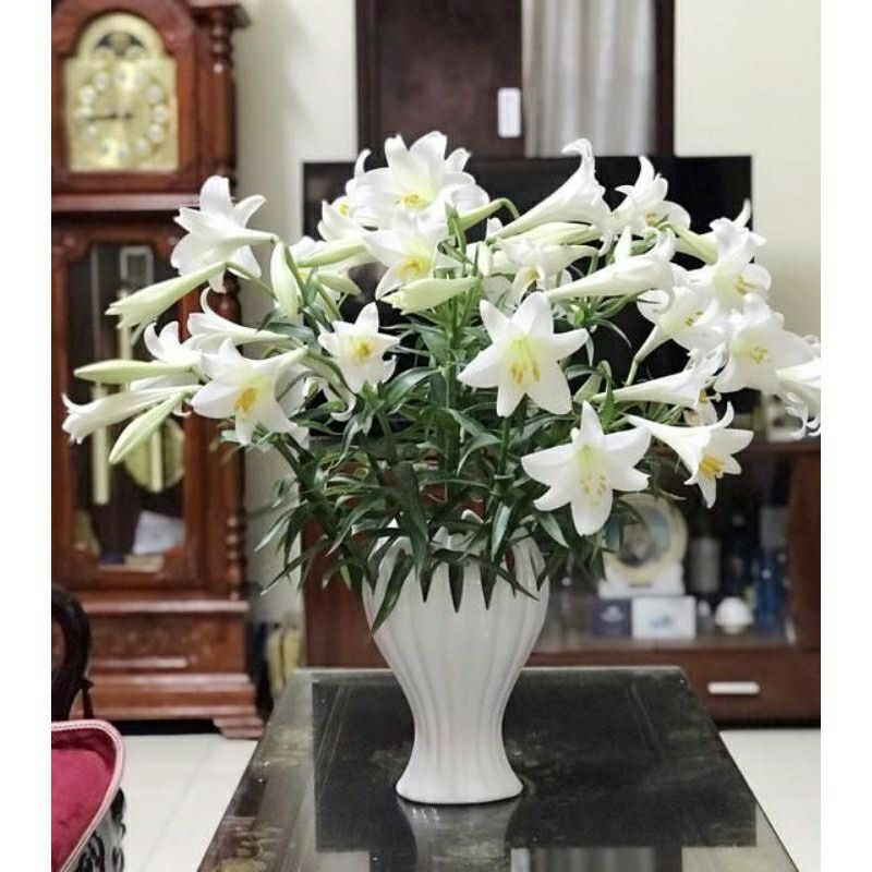 Lọ hoa ban tay phật