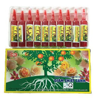 Phân vi lượng giâm chiết cành Minh Đức 2 ống - T3