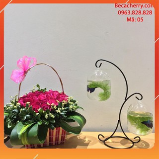 Bể Cá Treo Mini Hình Chữ X 05 ( Tặng kèm combo phụ kiện trang trí )