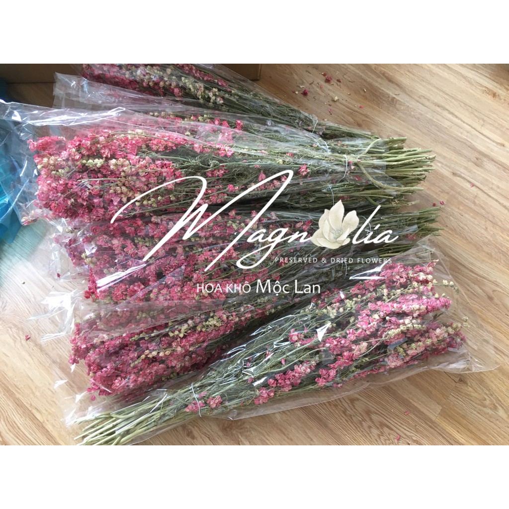 [Xả Kho] Hoa khô Delphinium Larkspur ❤️FREESHIP❤️ Phi Yến khô trang trí phong cách Bắc Âu vintage cổ điển