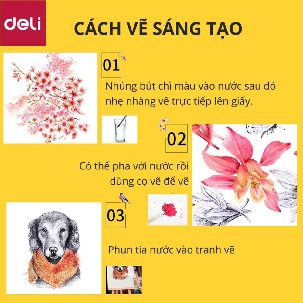 Bút chì màu nước cao cấp Deli 24 - 36 - 48 màu/ hộp kèm bút lông - 6518/6519/6520 [Deli]