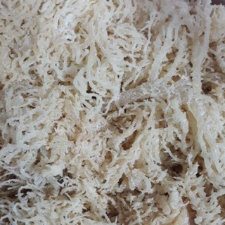 Rong sụn ( rong biển trắng ) 500g