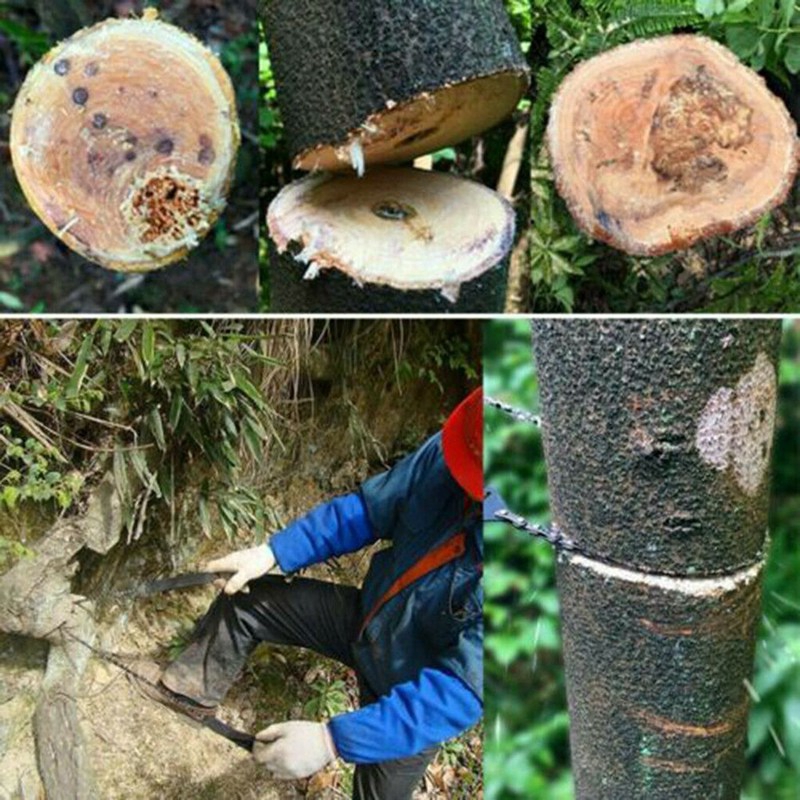 Dây cưa xích cầm tay Tmdbyx