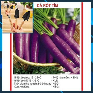 Hạt giống Cà Rốt Tím 0.1Gram TẶNG BỘ LÀM VƯƠN MINI