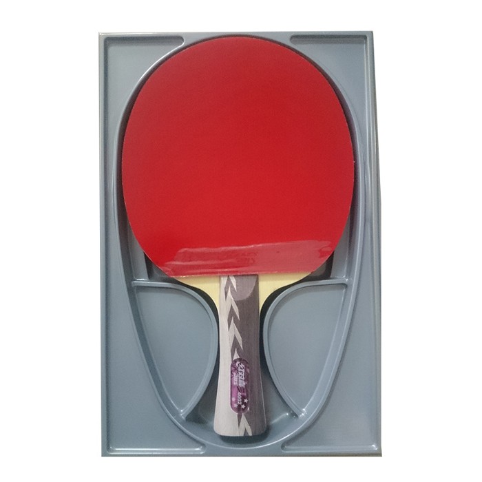 VỢT BÓNG BÀN DHS-4002