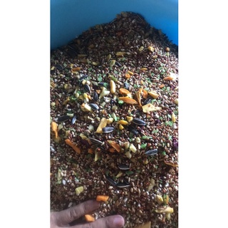thức ăn trộn cho hamster