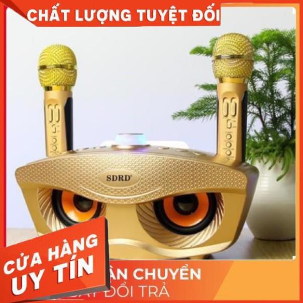 FreeShip -  [MIỄN PHÍ SHIP] Loa Bluetooth karaoke Tặng kèm 2 karaoke không dây cao cấp SD-306