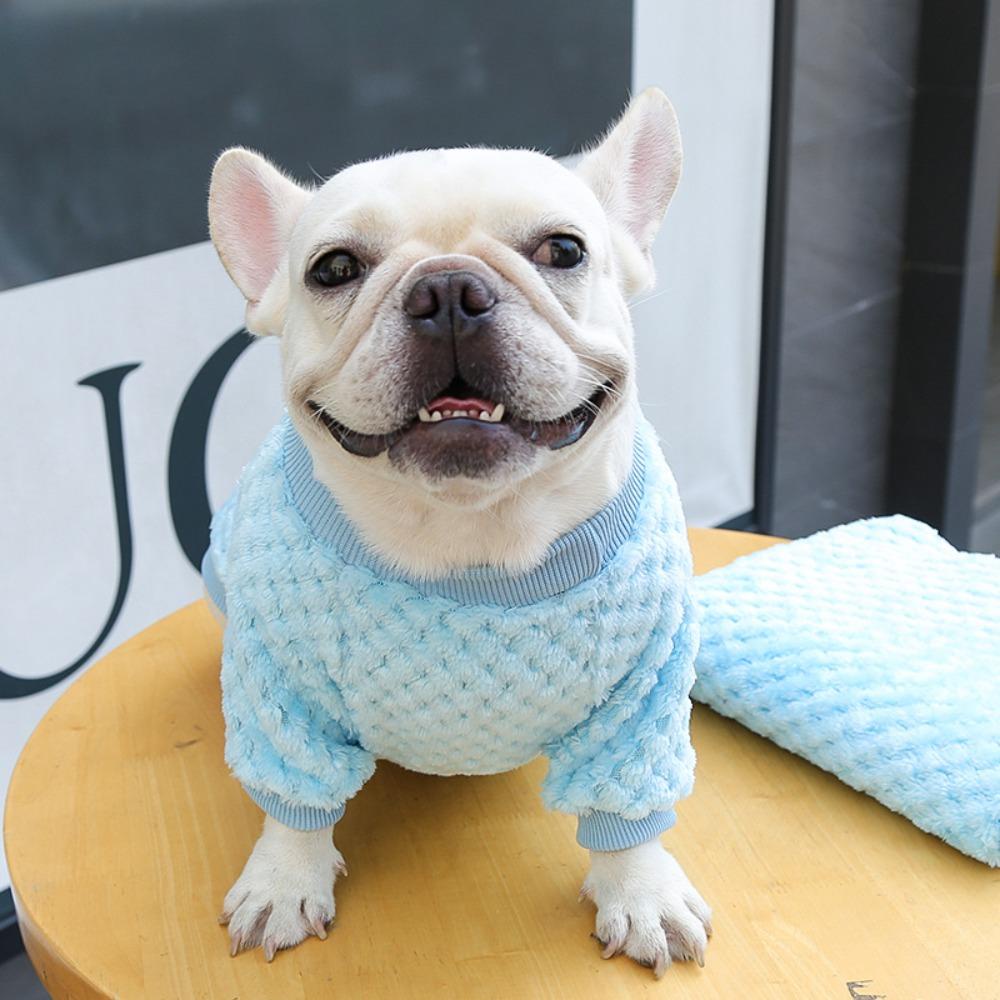 GIOVANNI Dog Clothes 1 pcs Lightweight Winter Wearing for Small Large Pet Warm Soft Dog Plush Clothing