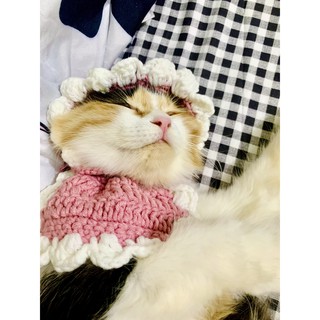 Mũ - Yếm len handmade cho mèo cute🧶🧵
