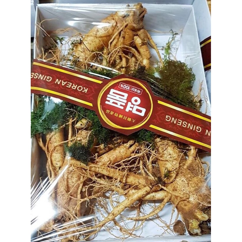 Nhân sâm tươi Hàn Quốc 6 năm tuổi, size 3 củ/kg, 4.000.000/kg | BigBuy360 - bigbuy360.vn