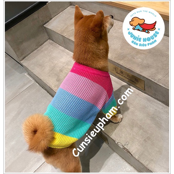 Áo len Tết 7 màu xinh xắn cho chó lớn