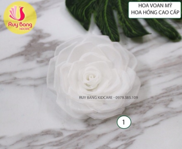 Hoa voan mỹ - hoa hồng cao cấp