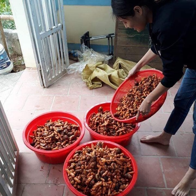 Tinh bột nghệ