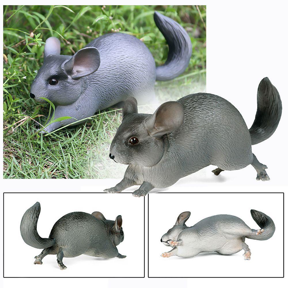Mô Hình Chú Chuột Chinchilla Sống Động Như Thật Cho Bé