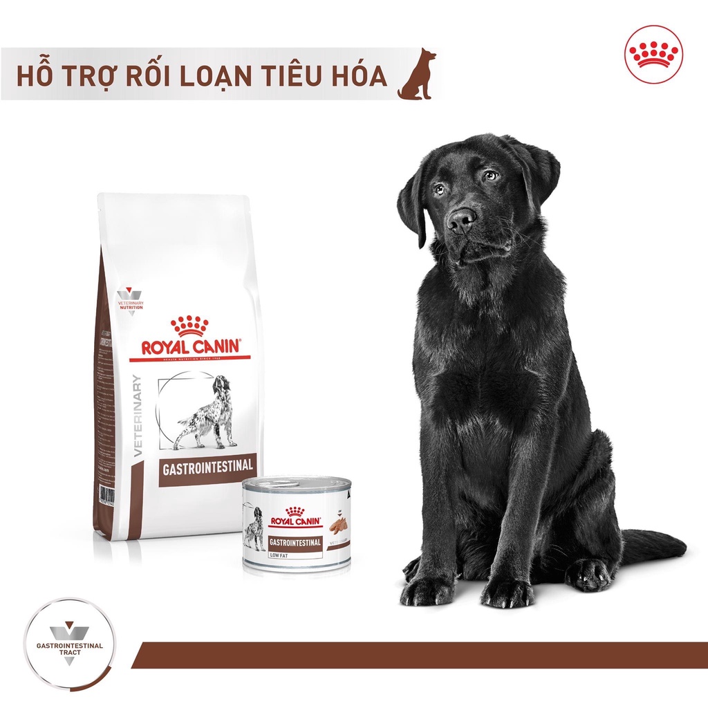 Hạt cho chó tiêu chảy, khó tiêu. Hạt Canin cho chó gặp vấn đề về tiêu hóa Royal Canin Vet Diet Gastrointestinal 2kg