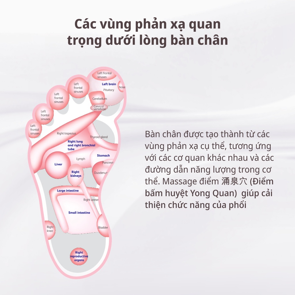 Bộ massage OSIM DIY (uJolly 2 & uSqueez 2)