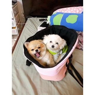 túi vận chuyển thú cưng