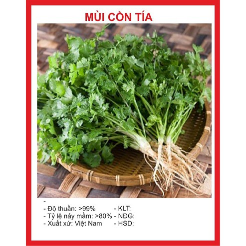 Hạt giống rau mùi ( Mùi ta - mùi cồn tía 20gr )