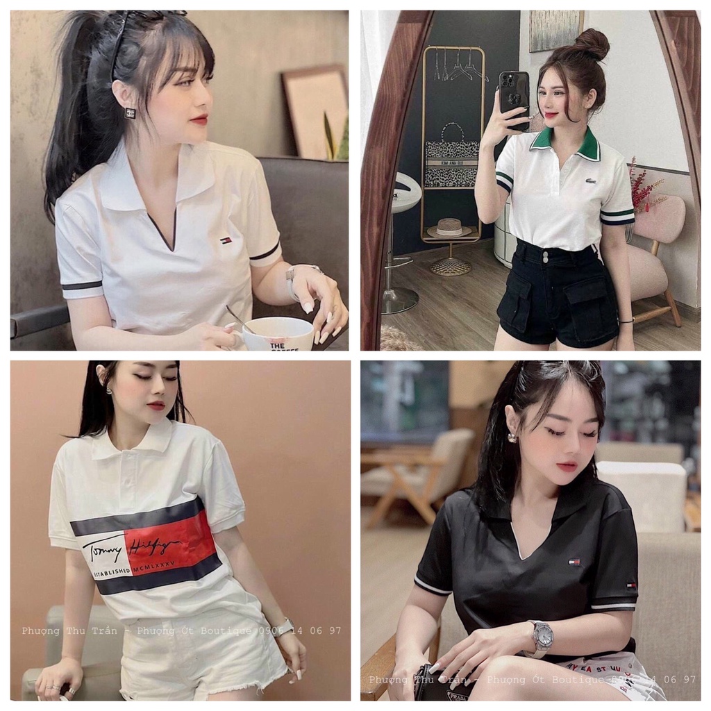 Áo Polo Nữ, Áo Thun Polo Nữ Cổ Bẻ Tay Ngắn Phối Cổ Xanh Chất Vải Cotton Poly Cá Sấu Co Giãn Thoáng Khí Thấm Hút Mồ Hôi
