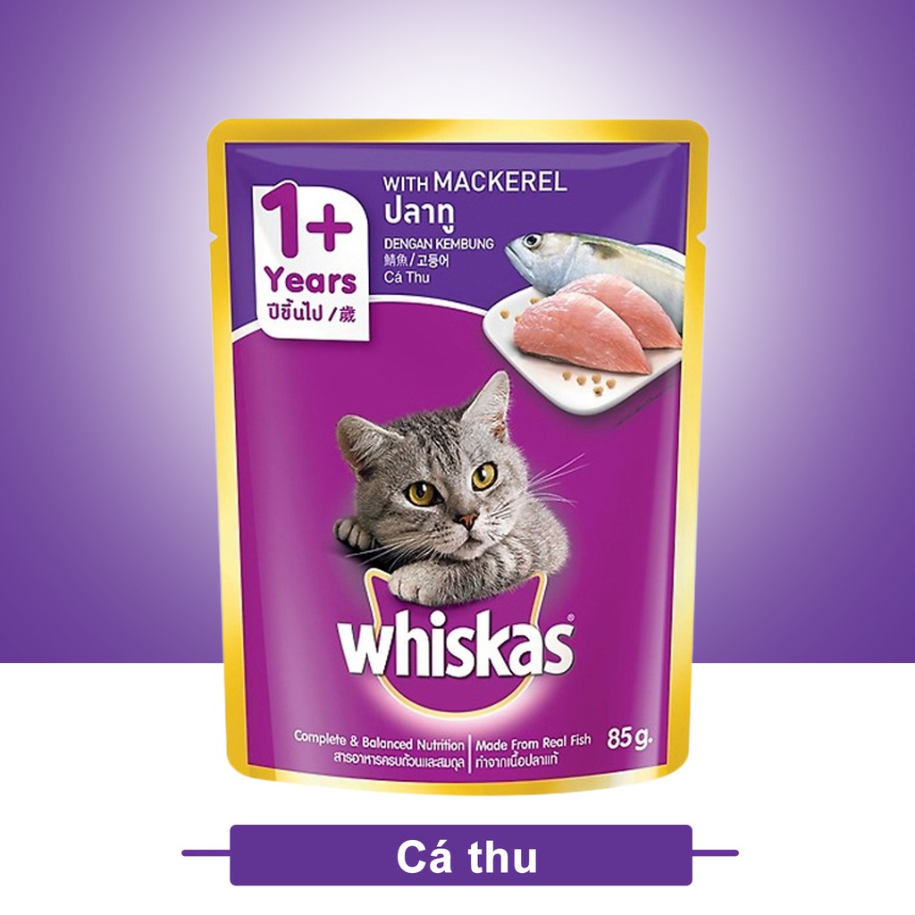 Combo 01 Thức Ăn Hạt Khô Whiskas 1,2 Kg và 12 Gói Pate Whiskas 80 Gram Cho Mèo