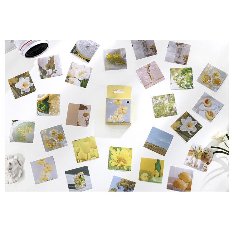 45 sticker vintage THỎ STATIONERY ảnh phong cảnh hình dán decor trang trí sổ planner bullet journal dụng cụ dán