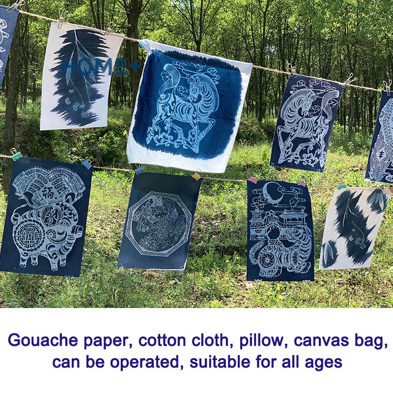 Set dụng cụ in kỹ thuật cyanotype trang trí thủ công độc đáo DIY