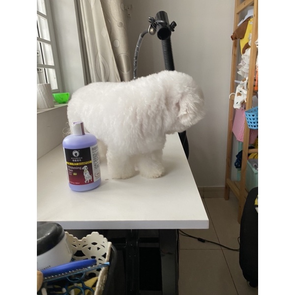 Sữa tắm thú cưng dành cho lông trắng