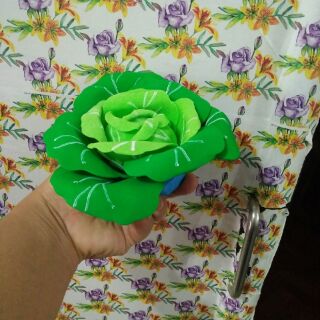 Bắp cải, súp lơ