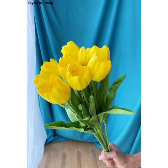Hoa Tuy Líp To Cành Dài 50cm